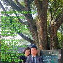 원일건재 이미지