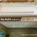 비바플렉스 이미지