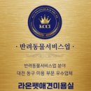 애견미용실 이미지