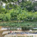 어둔동 마을회관 이미지