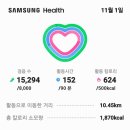 가족묘원성묘를다녀와문중시제제수흥정만보인증:15,294보. 11,03km:걷기누계. 3463km4741435 보 이미지