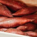 구황작물 이미지