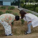 연세실버벨리 이미지