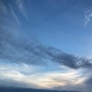 일상의 하루 이미지