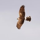 우리보금자리 이미지