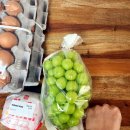 알뜰마트 | 포항 리퍼샵 알뜰리퍼마트-야채 과일 고기까지 한곳에서