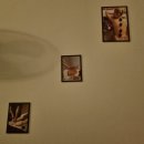 나트랑 깜란 마사지 로컬샵 지도 위치 오류 SPA V&amp;H 후기