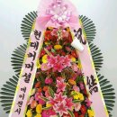 국가대표꽃배달엔플라워 이미지