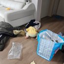 재미 쏙쏙 영화 한국사 | 260401 호호가 눈티밤티 된 사연