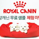 펫 파라다이스 동물병원 이미지