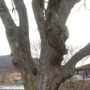 이안2리 마을회관 이미지