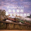 세인트필립동물병원 | 멜버른 여행 필수 코스, 퍼핑빌리 증기기관차부터 필립아일랜드 펭귄까지 완벽 정복!