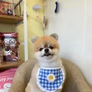 살롱드 베베 이미지