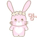 에이비헤어