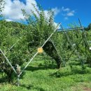 동건농장 이미지