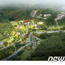 도림사 오토캠핑장 이미지