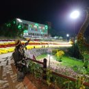 화순고인돌전통시장 이미지