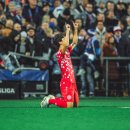 팀 리스펙트 이미지