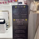 헬릭스디자인(HELIX D) | 강남역 피어싱 고민 끝! 귀테리어 맛집 [무드피어싱] 방문 후기🩷