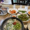 트리하우스 운서 이미지