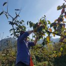 만덕3동-5 이미지