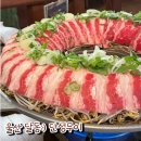 울산 달동:) 단성무이에서 구름주 먹고 싶은 안주 다 시킨 솔직후기. 2차는 얼맥당.