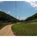 국지골부부농원