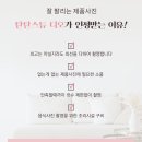 탄탄사진영상스튜디오 이미지