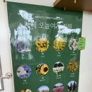 5월 국내여행 김제 오늘여기 샤스타데이지 맛집