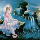 금 강  1 이미지