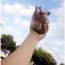 따봉PC방 이미지