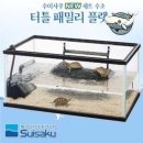거북이