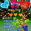 옆 이미지