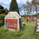 금마 서동공원 유아숲체험원 이미지