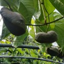 산의농장 이미지