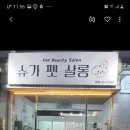 슈가펫살롱 이미지