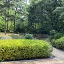 용구대로2360번길 이미지