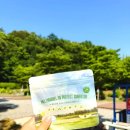썬환경 | [물욕] 멜트마블 썬패치 (야외활동 필수템, 멜트마블 자외선 차단 썬패치 캠핑·놀이터 후기)