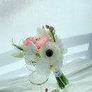 (주)까미노 이미지