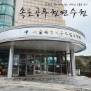 속초 여행 숙소 추천 속초 공무원 연수원 서울시 공무원 수련원 A타입 숙박 후기