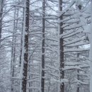 삼수령목장 이미지