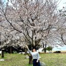 늘소나무산장 | ⛳ 충주의 숨은 명코스! 임페리얼레이크CC 라운드 후기