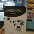 아엠펫 네이버블로그