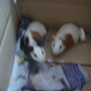 도화치안센터 이미지