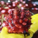 최고다농수산