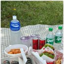 못골로04 | [2024.04.14-04.17] 피크닉 가기 좋은 날 (대연동 맛집 왓더버거, 김가네김밥, 켁터스 멕시칸그릴)