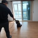 태백홈케어 이미지