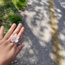 지에스25소양벚꽃로점 이미지