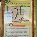 솔잎체험장 이미지