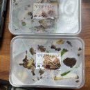 태백 기와집갈비 이미지